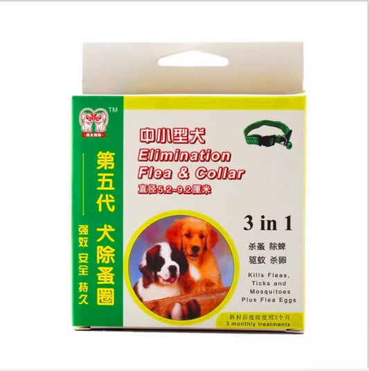 Dog in addition to the collar