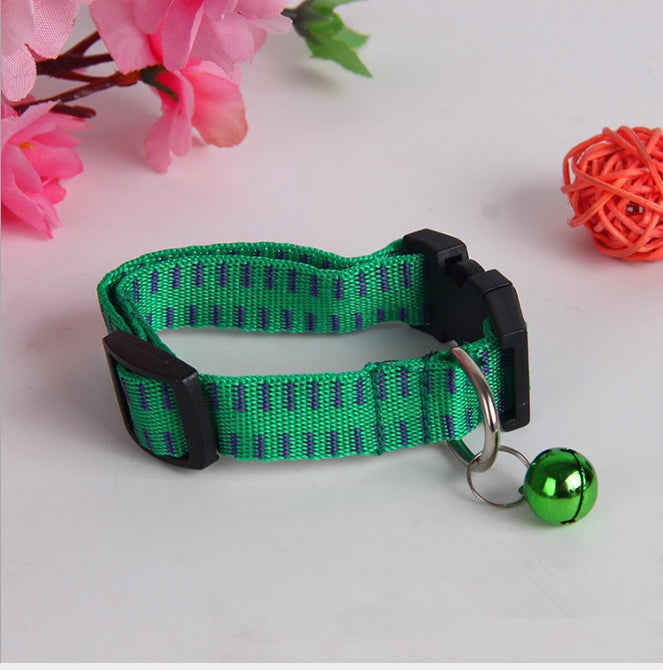Dog in addition to the collar